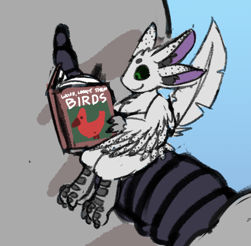 A colored sketch of Emerald reading a book titled 'Woah, Lookit Them Birds'
